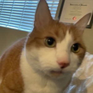 Meet your Posher, Maddie